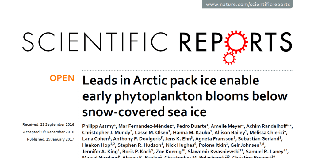 Article-leads-in-arctic-pack-ice